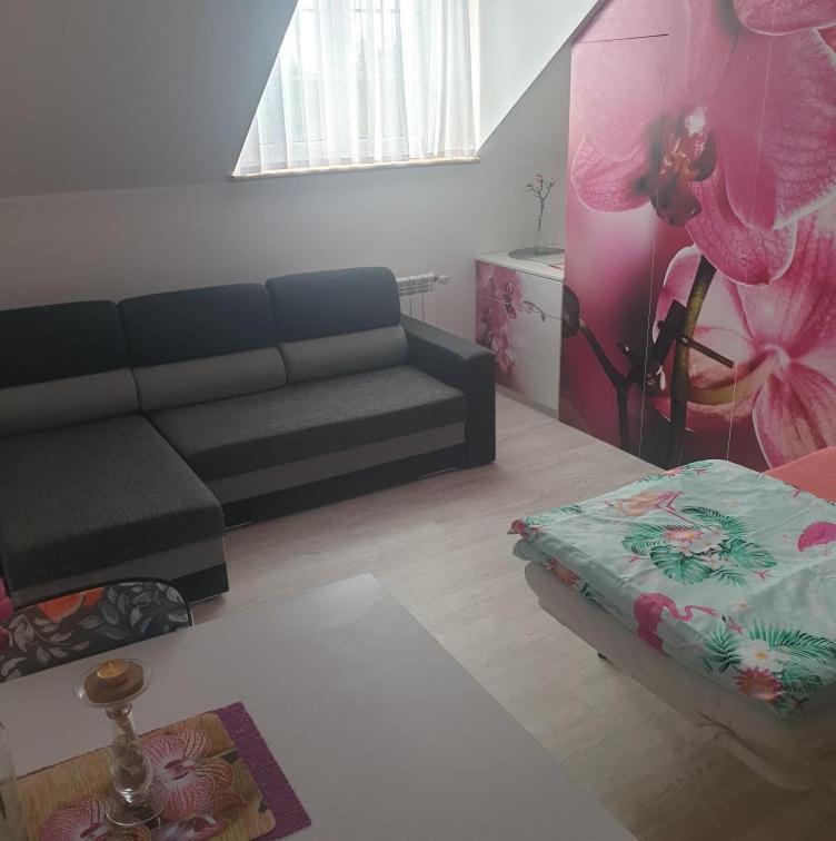 Dom Goscinny Vollare Ujście-Darłowskie Exteriér fotografie